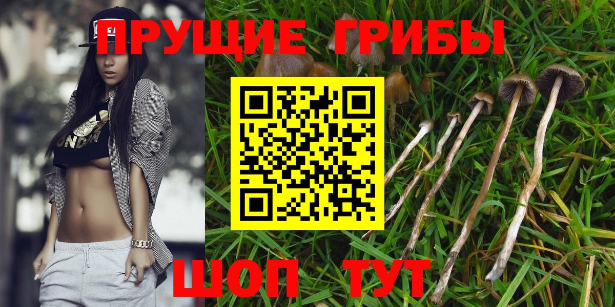 Галлюциногенные грибы GOLDEN TEACHER Богданович