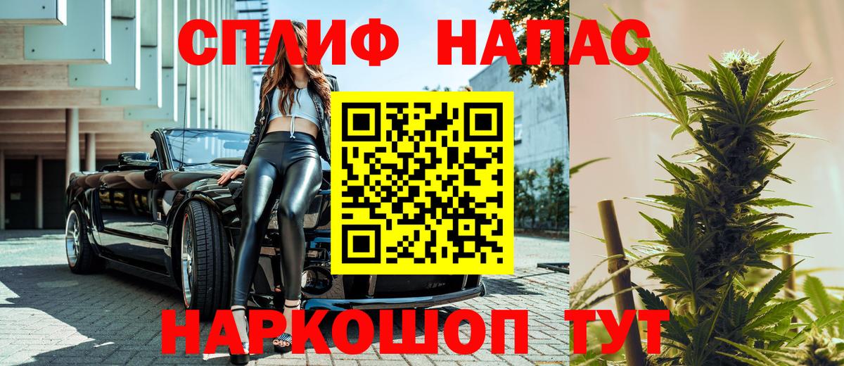 Марихуана планчик Богданович